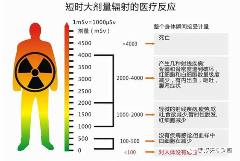 CT检查